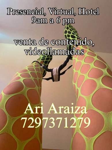 ARI ARAIZA  escort en Toluca - Foto 3